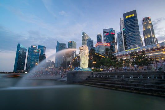 Singapore Accord