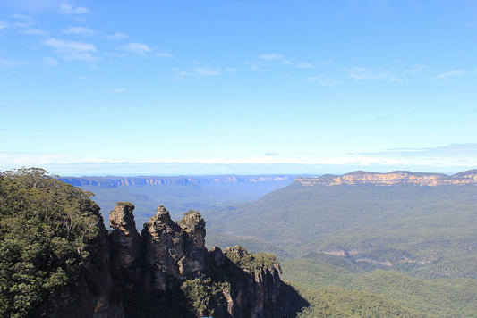 asbestos blue mountains council