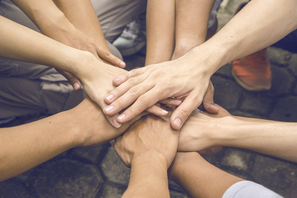 Complete Manage employee relations training course online based on BSBWRK520. Print off your Certificate on successful completion. More info: Call OHS.com.au 1300 307 445.