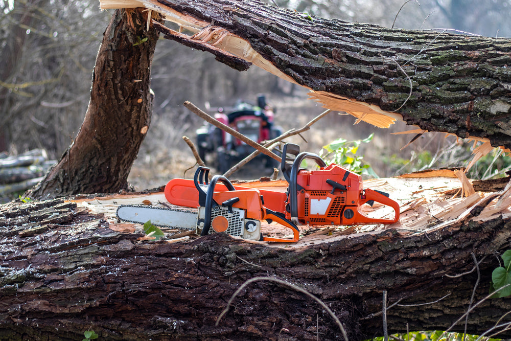 Chainsaw cutting fallen tree
