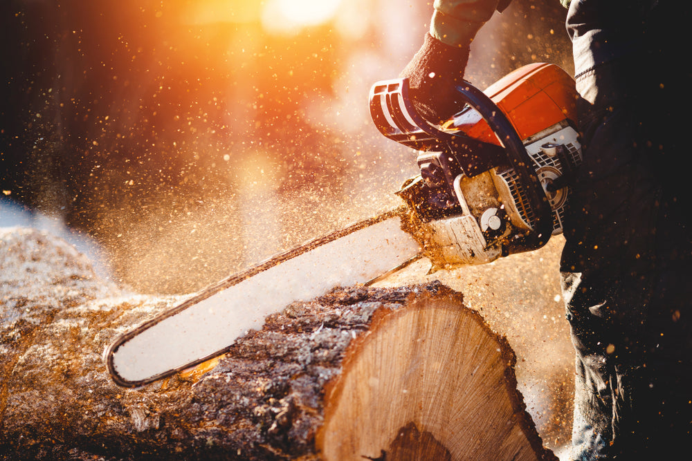Chainsaw cutting wood, sawdust flying