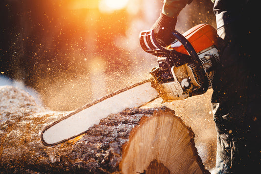 Chainsaw cutting wood, sawdust flying