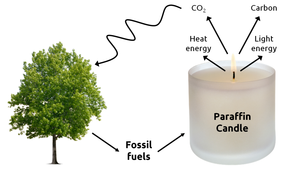 Fossil fuel issues training online