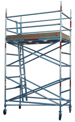 Scaffold Training SB online