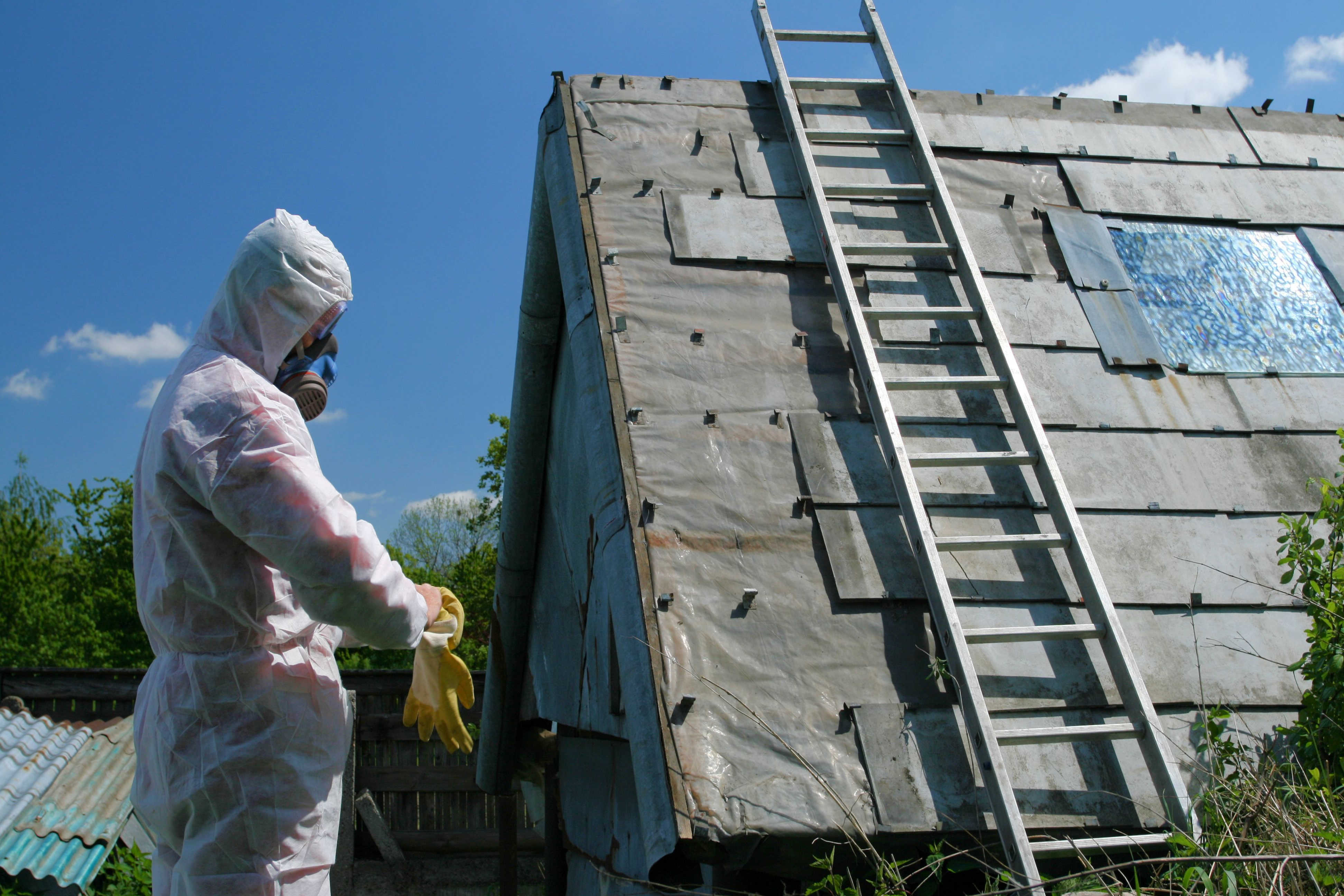 Walterboro Asbestos Legal Question
